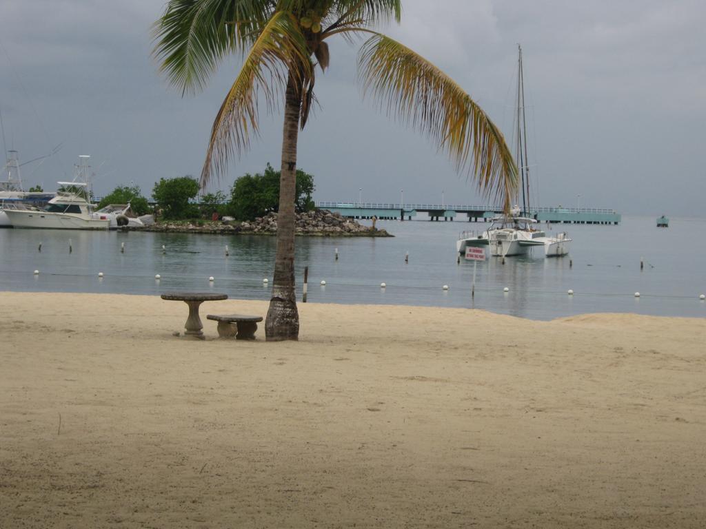 Marchabell By The Sea E22 Appartement Ocho Rios Kamer foto